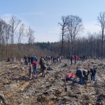 Sadzenie lasu – wspólna inicjatywa dla przyszłości