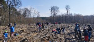 Sadzenie lasu – wspólna inicjatywa dla przyszłości